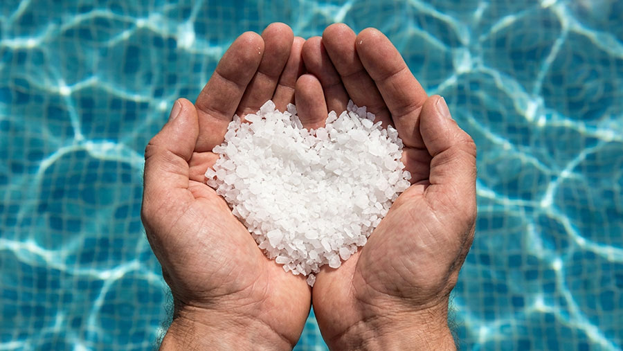 Hands Holding Salt Above Pool