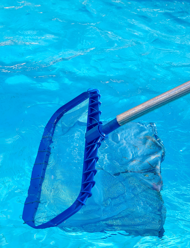 Weekly Pool Cleaning Services